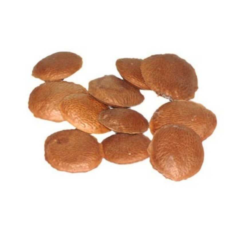 Semente de Sucupira Granel no Empório