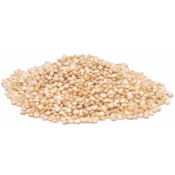 Quinoa Grão Granel