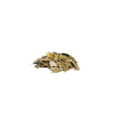 Ginkgo Biloba Folhas Granel
