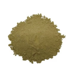 Ginkgo Biloba em Pó Granel